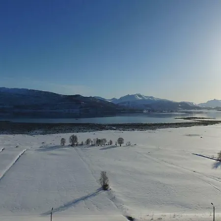 1 In The Yellow House, Close To Airport & Lofoten Проживание в семье *