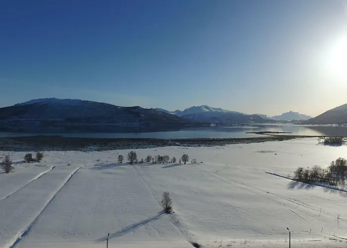 1 In The Yellow House, Close To Airport & Lofoten Alloggio in famiglia *