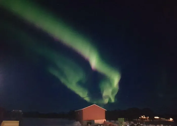 1 In The Yellow House, Close To Airport & Lofoten Alloggio in famiglia